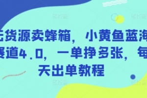 无货源卖蜂箱,小黄鱼蓝海赛道4.0,一单挣多张,每天出单教程
