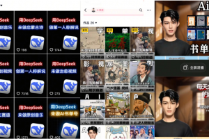 Deep seek项目拆解+卡通数字人25年4月新玩法日引200+创业粉十分钟一条…