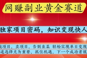 网创副业黄全赛道,掌握独家项目密码,知识变现快人一步,告别韭菜轻松实现单日变现1k+