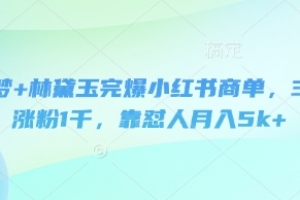 即梦+林黛玉完爆小红书商单,3天涨粉1千,靠怼人月入5k+