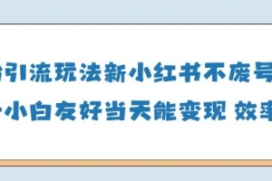 男粉引流玩法(新),玩法友好做的好当天就能变现
