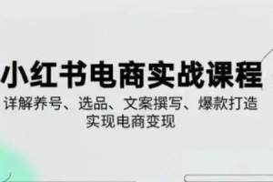 小红书从0-1实操课(2023-2025),详解养号、选品、文案撰写、爆款打造实现电商变现