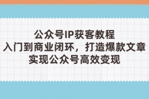 ,从入门到商业闭环,打造爆款文章,实现公众…