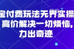 淘宝付费玩法无界实操课程,高价解决一切烦恼,大力出奇迹