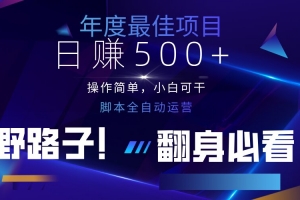 云机全自动答题日赚500+,轻松实现睡后收益,操作简单,2025最新野路子…