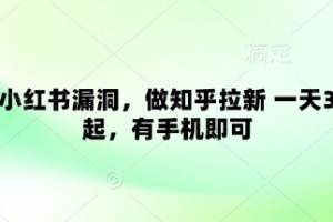 卡小红书漏洞,做知乎拉新 一天3张起,有手机即可