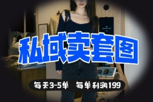 私域卖套图每天3-5单,每单利润99