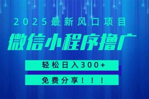 微信小程序撸广,最新风口项目,日入300+ 免费分享 可批量操作 小白可…