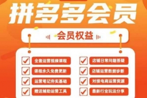 2025拼多多运营实战课,40节全流程教学,覆盖拼多多运营全链路