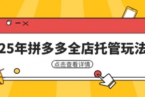 25年拼多多全店托管玩法,矩阵动销裂变玩法如何低风险盈利 新手运营秘籍