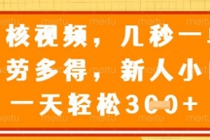 最新审核视频,几秒一单,多劳多得,新人小白一天轻松3张