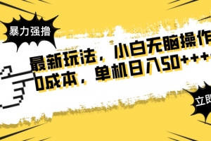 最新玩法 广告暴力强撸 傻瓜式操作 无需养鸡 矩阵式操作 可无限放大 单…