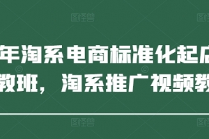 2025年淘系电商标准化起店流程私教班,淘系推广视频教程