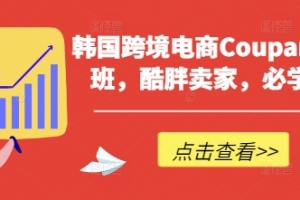 韩国跨境电商Coupang高阶班,酷胖卖家,必学课程