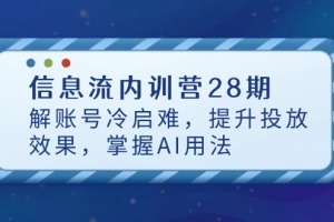 信息流内训营28期,解账号冷启难,提升投放效果,掌握AI用法
