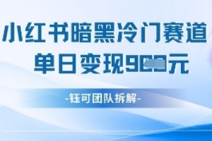 小红书冷门”暗黑”赛道,单日收益多张