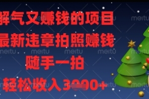 解气又挣钱的项目,最新违章拍照挣钱,随手一拍,轻松收入多张
