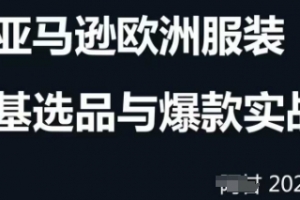 跨境电商选品案例24-25年,聚焦跨境电商选品策略与运营优化,助力卖家挖掘蓝海市场