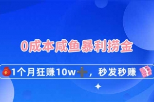 0成本闲鱼暴利捞金,1个月狂赚10W+,秒发秒赚新玩法