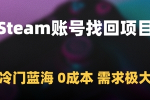 Steam账号找回项目,冷门蓝海,0成本,需求极大