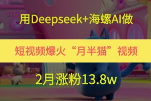 用Deepseek+海螺AI做短视频爆火“月半猫”视频,2月涨粉13.8w