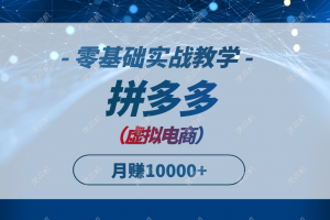 拼多多虚拟电商,零基础实战教学,快速打爆商品,新手也能月入10000+