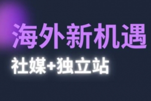 2025出海新机遇(社媒+独立站),海外新机遇,实现独立站的高效运营与出海