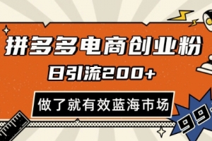 拼多多引流电商创业粉,日引200+,可矩阵放大,做了就有效