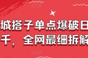 同城搭子单点爆破日入千,全网最细拆解