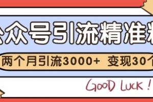 公众号精准粉引流玩法,2个月3000+精准粉,变现30个W