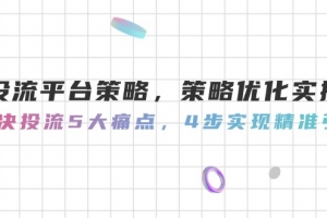 投流平台策略,策略优化实操,解决投流5大痛点,4步实现精准引流