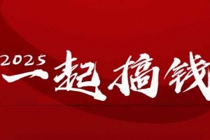 2025年,请“不择手段”去搞钱!