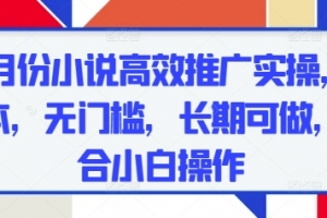 五月份小说高效推广实操,0成本,无门槛,长期可做,适合小白操作