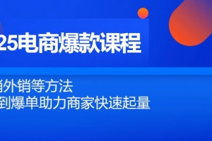 2025电商爆款课程,内销外销等方法,从0到爆单助力商家快速起量