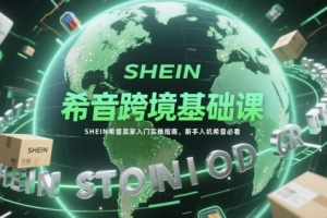 希音跨境基础课,SHEIN希音卖家入门实操指南,新手入坑希音必看