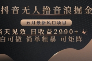 抖音无人撸音浪掘金,五月最新风口项目,当天见效,日收益多张,小白可做简单粗暴可矩阵