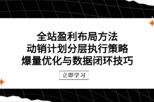 全站盈利布局方法:动销计划分层执行策略,爆量优化与数据闭环技巧