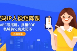 宝妈IP人设矩阵课:ABC号搭建,批量SOP,私域转化高效闭环