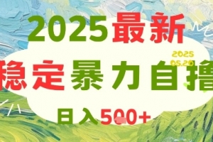 2025最新暴力自撸项目,日入5张+,可矩阵操作