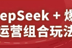 DeepSeek+爆品运营组合玩法,2025淘系精品课