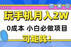 玩玩手机月入20000+,0成本小白必做项目,可矩阵