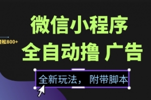 微信小程序全自动撸广告项目,彻底解决没流量的问题,新手一天8张+
