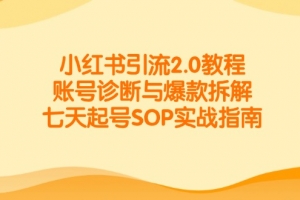 小红书引流2.0教程,账号诊断与爆款拆解,七天起号SOP实战指南