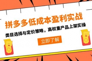 拼多多低成本盈利实战,类目选择与定价策略,高权重产品上架实操