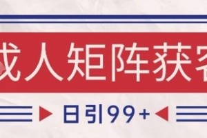 小红书某音橙人赛道引流获客,自热矩阵日引200+
