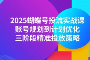 2025蝴蝶号投流实战课,账号规划到计划优化,三阶段精准投放策略