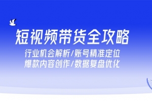 短视频带货全攻略,行业机会解析/账号精准定位/爆款内容创作/数据复盘优化
