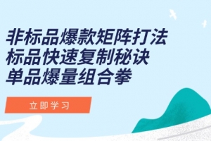 非标品爆款矩阵打法,标品快速复制秘诀,单品爆量组合拳