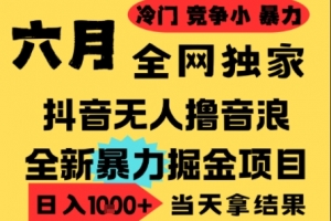 25年6月高爆抖音无人直播最新撸音浪掘金项目,小白可做,无脑日入1k+,门槛低可批量矩阵