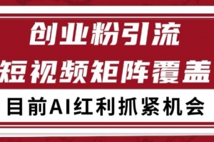 小红书某音创业赛道引流获客 自热矩阵日引200+